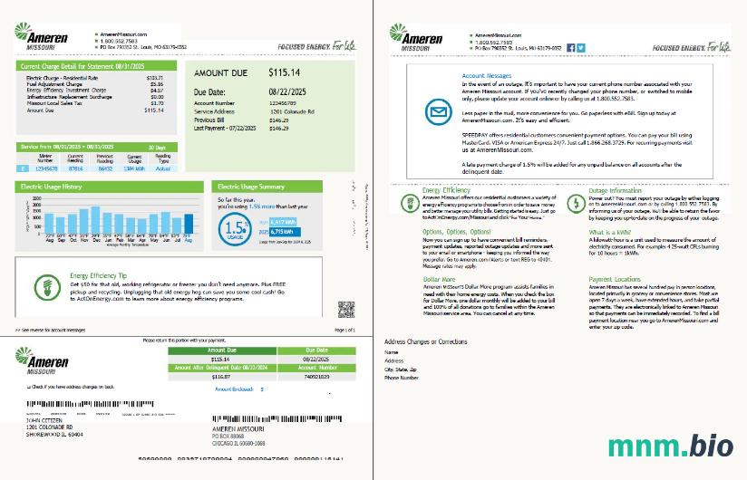 Szablon rachunku za media USA Ameren Missouri w formatach Word i PDF, 2 strony